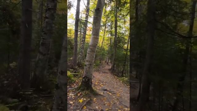 Houghton Falls Washburn wi смотреть онлайн