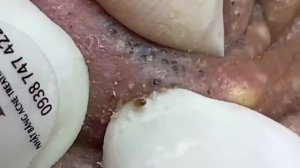 New Hope To Make Your Day More Wonderful # 364