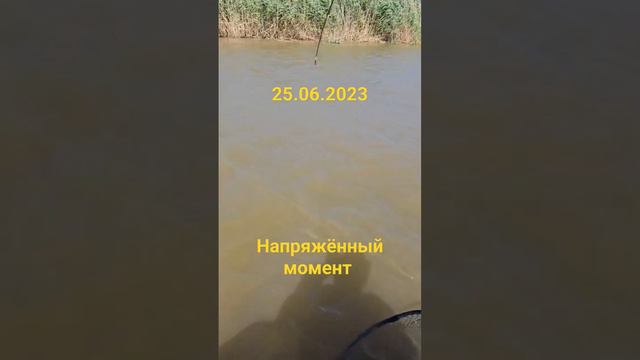 Рыбалка на сома в Астраханской области. смотреть онлайн