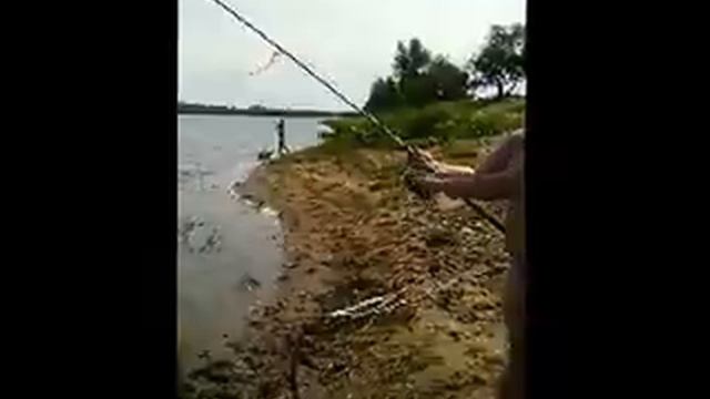 Рыбалка на Ахтубе смотреть онлайн