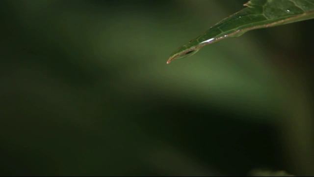 Капли воды 42 смотреть онлайн
