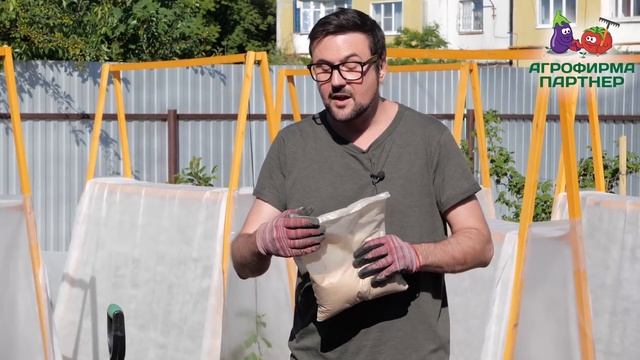 МОРКОВЬ И ЛУК! ЛУЧШАЯ СОВМЕСТНАЯ ПОСАДКА! смотреть онлайн