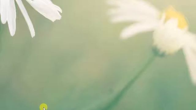 How to use the Telegram inline @vid bot смотреть онлайн