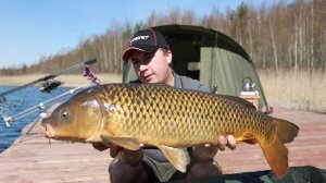 Ловля карпа весной на Чернице. Часть 2