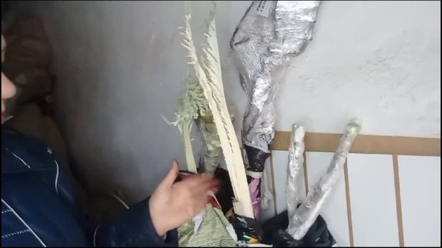 как сохранить стебли капусты и других овощных культур для следующего сезона