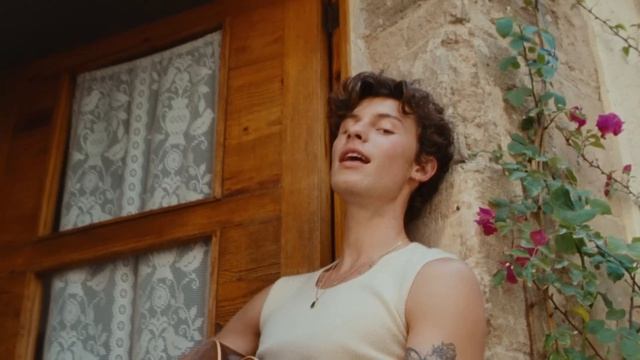 Shawn Mendes, Tainy - Summer Of Love (Official Music Video)