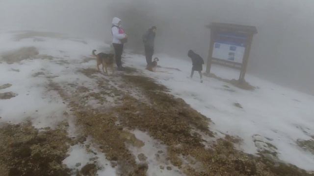 Куш-кая,не захотел нам открывать свои красоты,18.02.23 смотреть онлайн