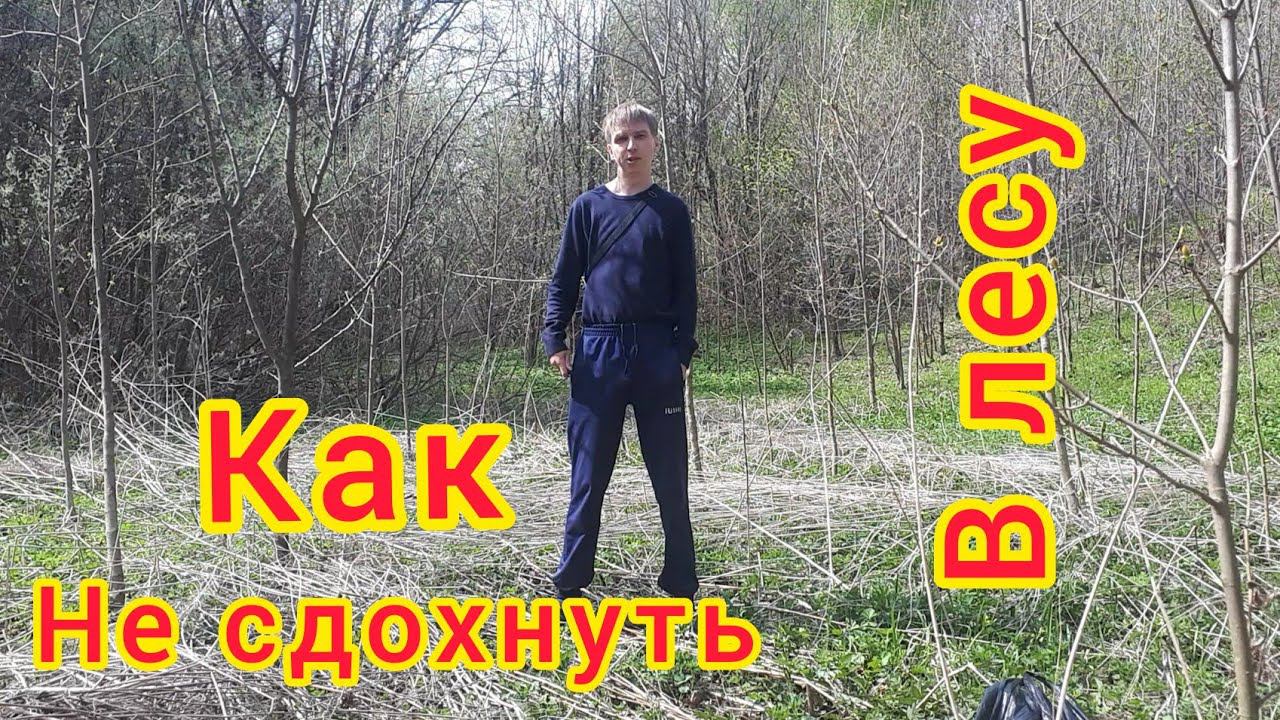 Как не умереть от голода в лесу смотреть онлайн