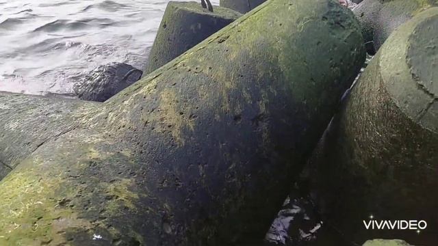 Вкусные идеи