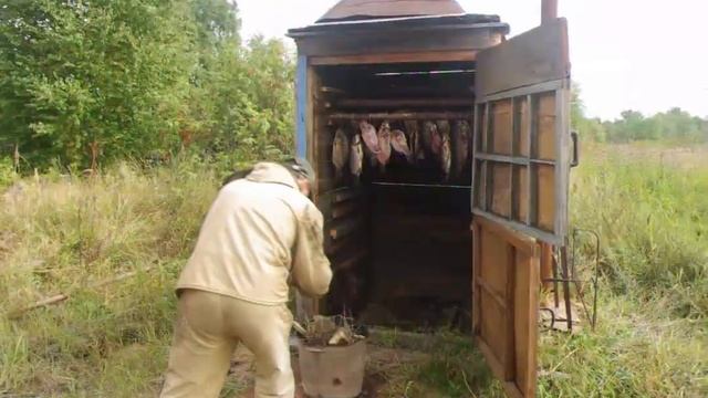 Холодное копчение рыбы в грибной сушилке смотреть онлайн