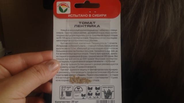 Обзор семян на 2018 год. Холодостойкие огурцы и томаты. смотреть онлайн