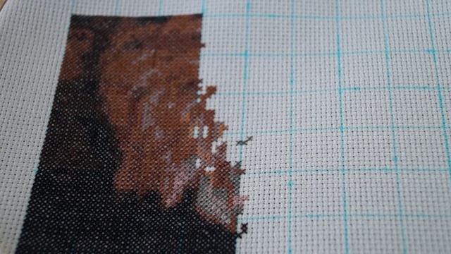 СП "В мире животных" Рысенок от ЗР 1 отчет!!! смотреть онлайн