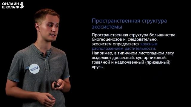 Структура экосистемы. Видеоурок 27. Биология 9 класс смотреть онлайн