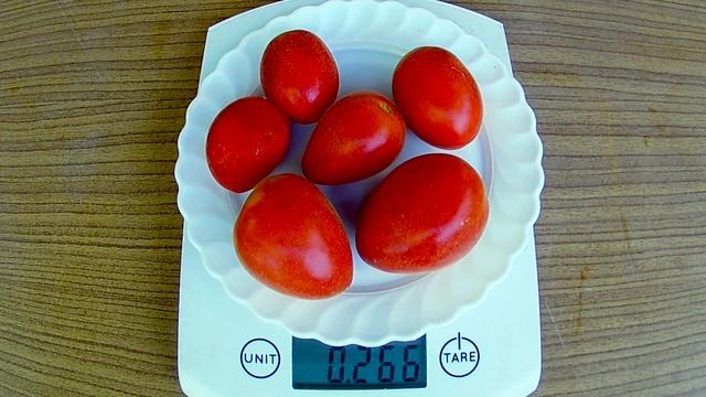 Томат - Мохнатый шмель (Пушистые томаты) смотреть онлайн