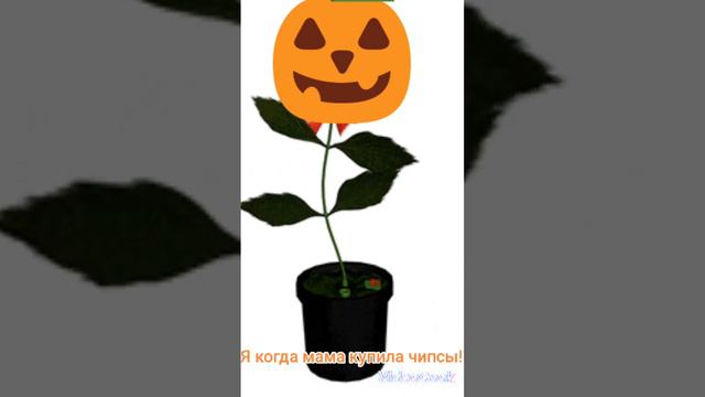 чипсы!!!!!!!!!!!!!!!!!!!!!!!!!!!!!!!!!!!!!!!!!!#чипсиняги#я освальтауклаткик!?!??!#2+2=5 смотреть онлайн