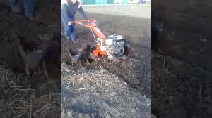 Мотоблок Агро на гусиных лапках