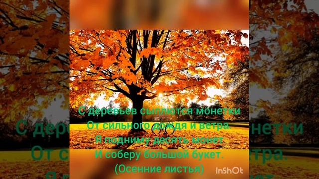 Средняя группа. Загадки об осени