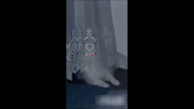 ПРИКОЛЫ С КОТАМИ! С ОЗВУЧКОЙ! Самые смешные животные! ТЕСТ НА ПСИХИКУ!