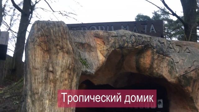 Зоопарк в Риге зимой выходные с родителями