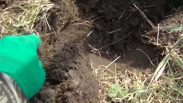 СЕРЕБРО ВЫВОЗИЛИ ОБОЗАМИ В ЭТОЙ ДЕРЕВНЕ - РАССКАЗАЛА БАБУШКА. Находки с металлоискателем на поле смотреть онлайн