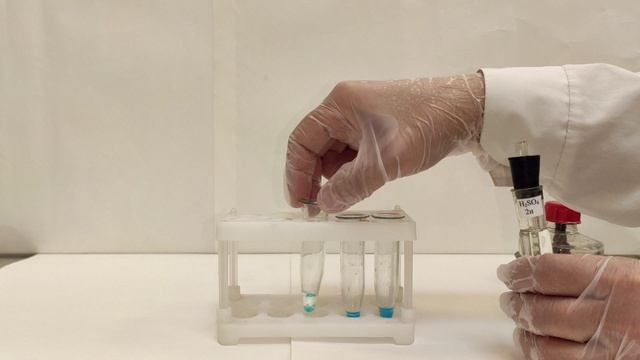 Лабораторная работа №1. Опыт 4. Получение и химические свойства гидроксида меди(II) смотреть онлайн