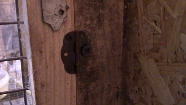 Содержание кроликов в гараже смотреть онлайн