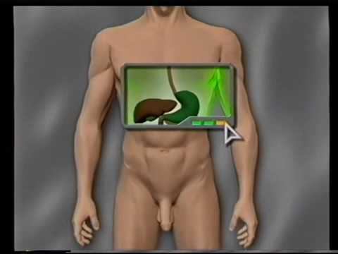 DENS Therapy Manual Part 2