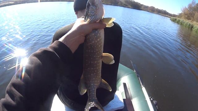 Рыбалка на спиннинг с лодки! Поклевки щуки на лебедином озере!!! смотреть онлайн