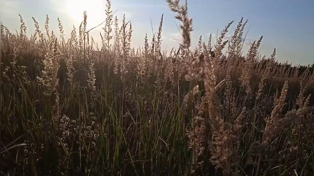 Евангелие| Христианская песня. смотреть онлайн