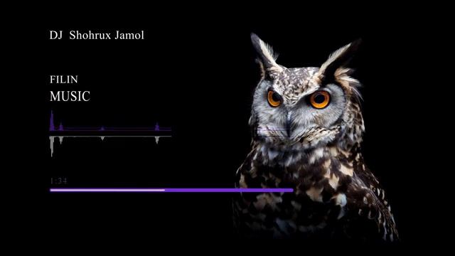 SHOXRUX JAMOL - FILIN MUSIC