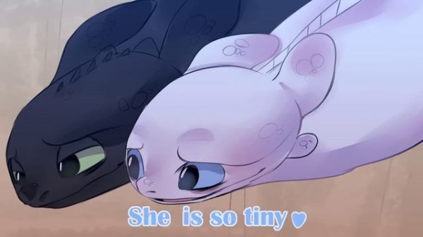 Toothless and Light fury: Dusk and Dawn - 3 EPISODE