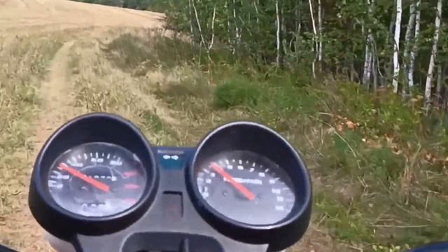 Покатушки на Альфе по полю. смотреть онлайн