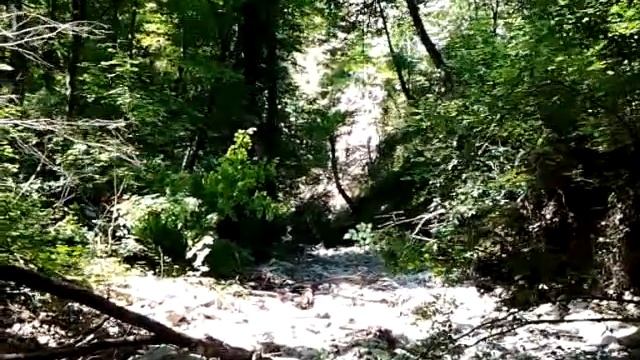 video 2013 07 06 12 32 25 Квадро Дивноморское смотреть онлайн