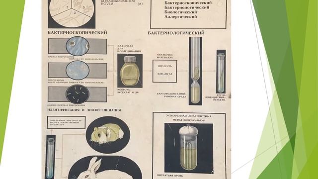 Микробиологическая диагностика Дифтерия, Туберкулез смотреть онлайн