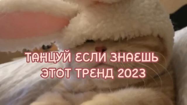 Tancuy-esli-znaes-etot-trend-2023