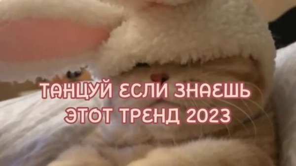 tancuy-esli-znaes-etot-trend-2023
