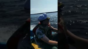 Вихрь 30 "Дедушка" с МПСЗ + лодка Воронеж в деле! Переход в 55км. Тулгас - Березник, Северная Двина.