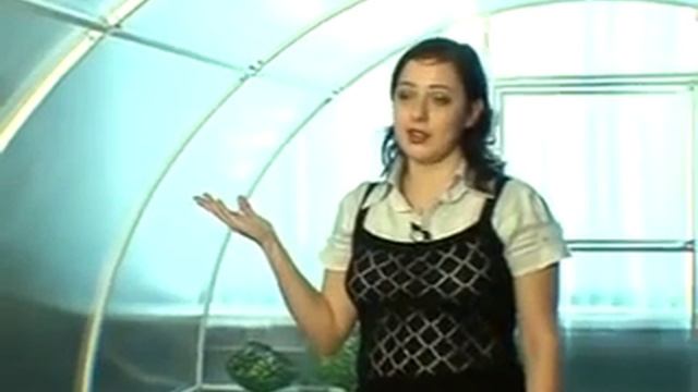 О Теплице 'Кормилица' смотреть онлайн