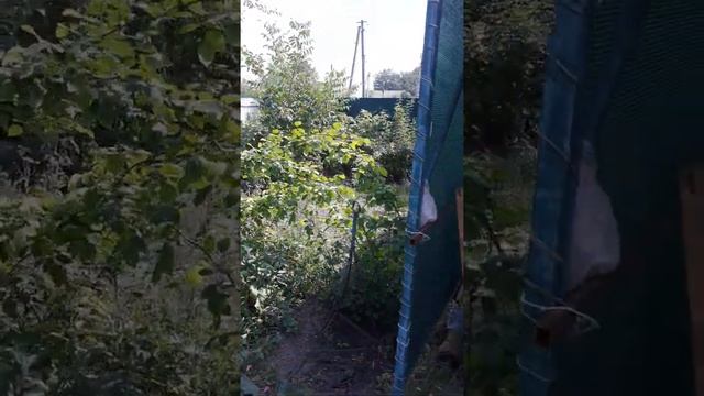 Строительство веранды, двор. смотреть онлайн