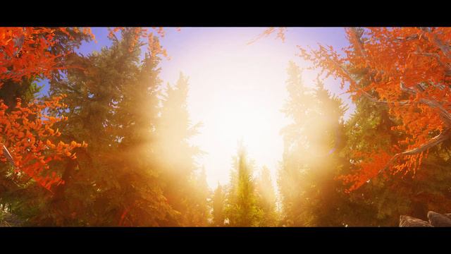 ANCIENT FOREST 4K TEXTURES | Skyrim Ultra High ENB - Photoreal Graphics | Nvidia GTX 1080 смотреть онлайн