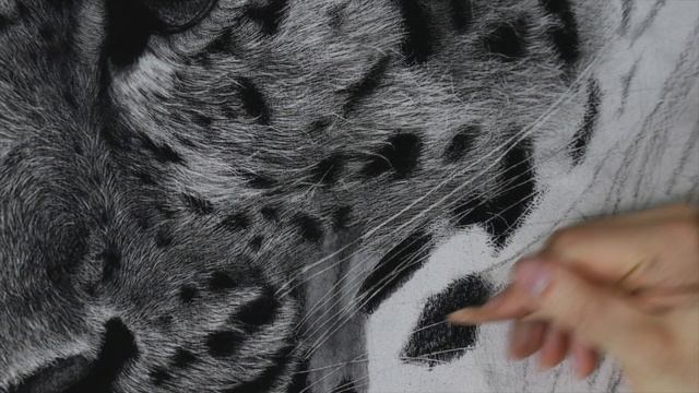 Hyperrealistic Leopard Drawing / 80Hour Time-lapse смотреть онлайн