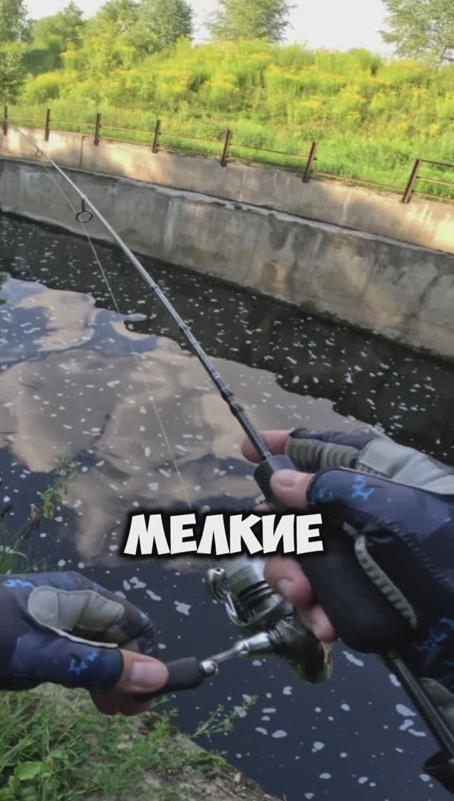 ОТВЕЛ ДУШУ по ПОКЛЕВКАМ!🎣 смотреть онлайн