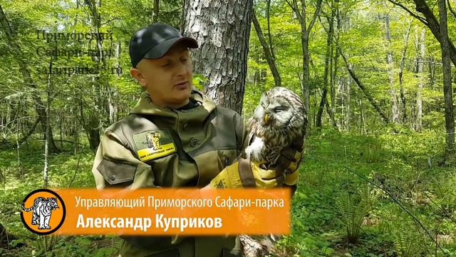 Выпуск в природу длиннохвостой неясыти 11 мая 2017 г. смотреть онлайн