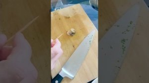 Рецепт приготовления улиток Ахатин