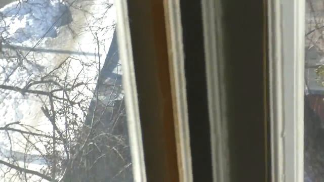 Полтава 8.2.2016 Усохшее дерево провалило крышу над квартирой пенсионерки смотреть онлайн