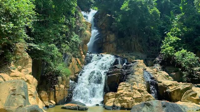 Individual Species, Populations, Communities, Ecosystems, And Biomes. A Full Ecology Lesson. 7.EC.5