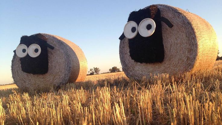 Розыгрыш, лучшая Шутка на поле смотреть онлайн