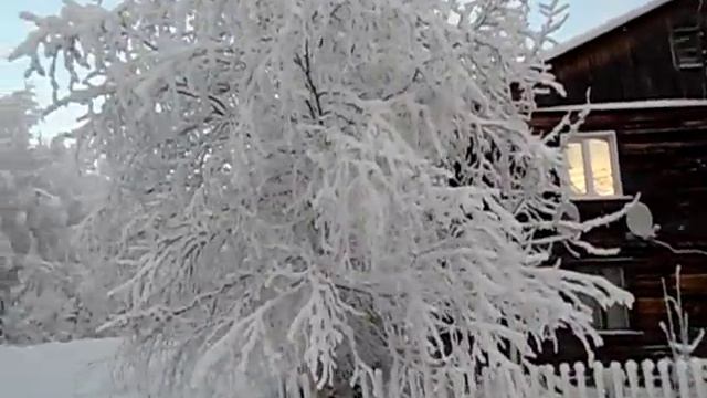 Видео "Зима чудная. В снег укутались деревья." смотреть онлайн