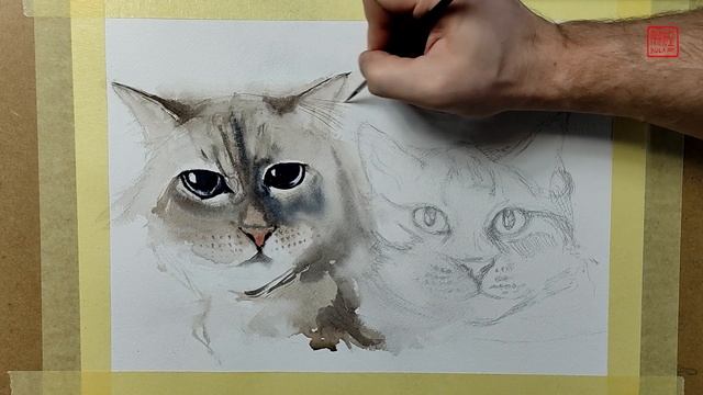 Watercolor demo by Mariusz Kula Art - How to paint cats смотреть онлайн