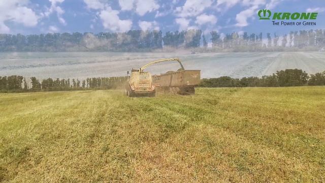 Заготовка сенажа люцерны в Алтайском крае с помощью техники KRONE #krone #BIGX770 #swadroTS970 смотреть онлайн